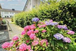 Zögern Sie nicht: Gepflegter Bungalow mit Garten in bevorzugter Lage in Aachen-Brand – Aachen – Vorschaubild 2