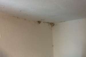 Gepflegte 2,5 -Zimmer Wohnung - nutzbar als 3-Zi.Wohnung - mit Balkon in Bogenhausen – Buschingstr. 21, 81677 Parkstadt, München – Vorschaubild 10
