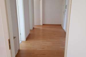WG taugliche 2-Raum-Wohnung mit EBK in Stadtfeld-Ost zu vermieten. – Wilhelm-Kobelt-Straße 4, 39108 Stadtfeld Ost, Magdeburg – Vorschaubild 8