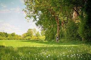 Property thumbnail 1