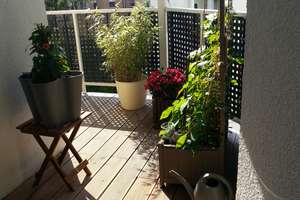 2-1/2-Zimmer-Wohnung mit goßem Balkon in Dortmund (südliche City) – 44139 Ruhrallee, Dortmund – Vorschaubild 11