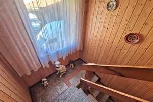 Wohnhaus mit schönem Grundstück in ruhiger Lage! – Mittelsachsen (Kreis) – Vorschaubild 8