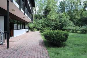 Idyllisches Einfamilienhaus in einzigartiger Steilhanglage am Naturschutzgebiet – Die vollständige Adresse der Immobilie erhältst du vom Anbieter., 31832 Springe – Vorschaubild 18