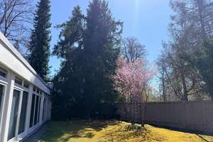 Sonniger Bungalow in München (WG-geeignet) mit Garten im  ruhigen und grünen Stadtteil Waldtrudering