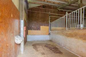 Natur, Ruhe und Pferdeglück – Exklusiver Pferdehof mit 2,1 ha in Brilon-Alme – Die vollständige Adresse der Immobilie erhältst du vom Anbieter., 59929 Brilon – Vorschaubild 22