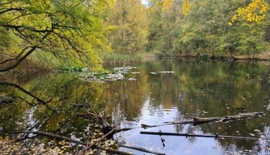 Bild von Top modernes Reihenhaus an der Fischbeker Heide (Naturschutzgebiet)