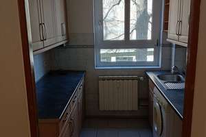 Wo Berlin durchatmet." - "2 Zimmer · Panke-Grünzug · Grenze Mitte/Wedding." – Kunkelstr 5,, 13347 Gesundbrunnen, Berlin – Vorschaubild 6