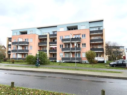 Wohnung mit Keller kaufen in Fahrland (Potsdam) ImmoScout24