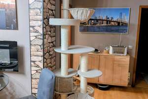 Property thumbnail 7