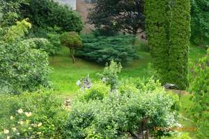 Property thumbnail 12