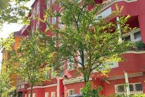 Renovierungsbedürftige 3-Zimmer- Erdgeschosswohnung in ruhiger Lage von Friedenau – Odenwaldstraße 12, 12161 Friedenau, Berlin – Vorschaubild 5