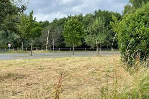 Familientraum in Toplage von Solingen-Aufderhöhe - ohne Ende Potenzial! – Gröditzberg 39, 42699 Ohligs/Aufderhöhe/Merscheid, Solingen – Vorschaubild 4