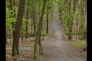 Property thumbnail 17