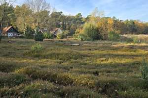 Landsitz mit Waldbestand – Die vollständige Adresse der Immobilie erhältst du vom Anbieter., 33428 Harsewinkel – Vorschaubild 31