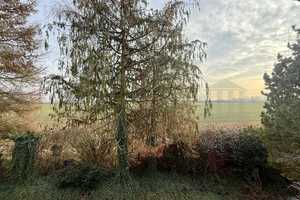 *** Einfamilienhaus mit Einliegerwohnung – Ihr neues Zuhause am Feldrand! *** – Bergstraße (Kreis) – Vorschaubild 52