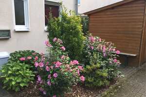 Sehr gepflegtes Reihenendhaus in ruhiger Lage in Köln-Sürth - provisionsfrei! – Köln – Vorschaubild 21