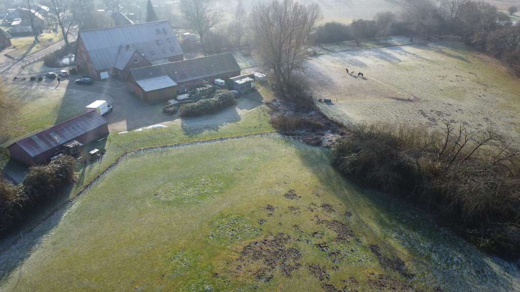 Immobilie in Gadebusch - Sie brauchen Platz? Für sich und Ihre Tiere? - Bild 3