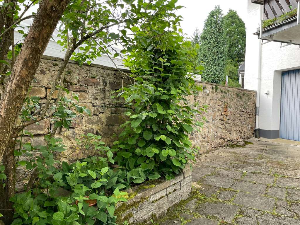 Immobilie in Prüm - **Wohnhaus mit Ausbaumöglichkeit im Untergeschoss – mitten in Prüm** - Bild 3