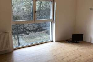 Mehrfamilienhaus mit 7 Einheiten - gut vermietet!  – Die vollständige Adresse der Immobilie erhältst du vom Anbieter., 94032 Innstadt, Passau – Vorschaubild 19