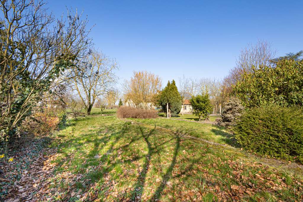 Immobilie in Gommersheim - Großzügiges EFH mit Wiese und viel Potenzial im idyllischen Weindorf  Gommersheim - Bild 2