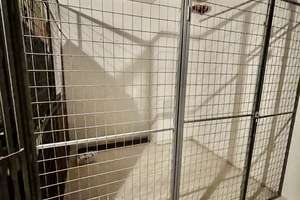 Property thumbnail 11