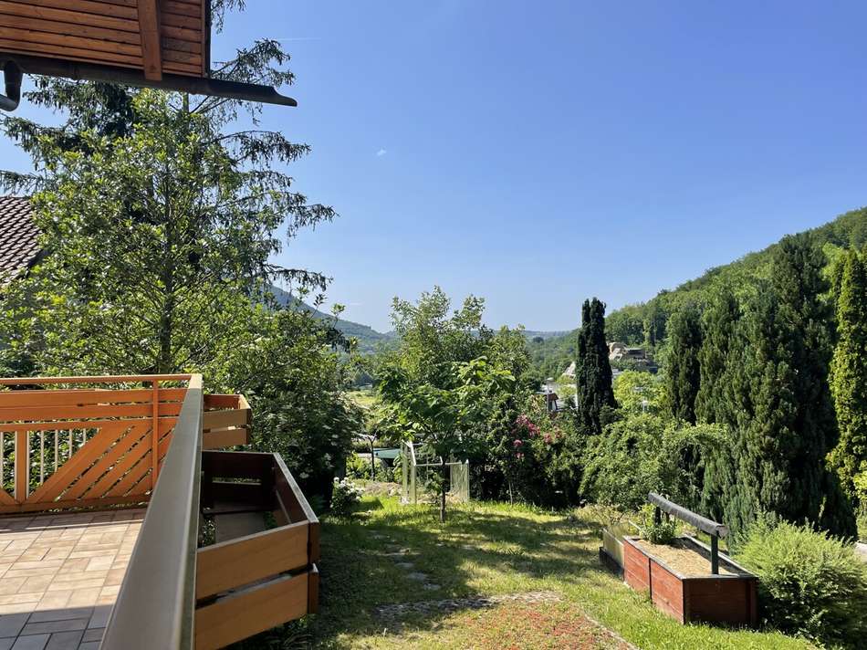 Garten/ Blick