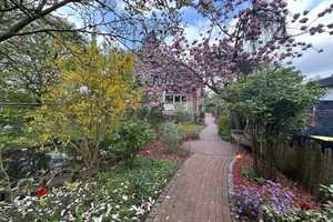 Ihr neues Haus am See – Hamburg – Vorschaubild 32