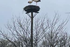 XL-Resthof am Vörder See! 14.013 m² Grundstück - Platz für Tiere & Hobbys – 27432 Bremervörde – Vorschaubild 31