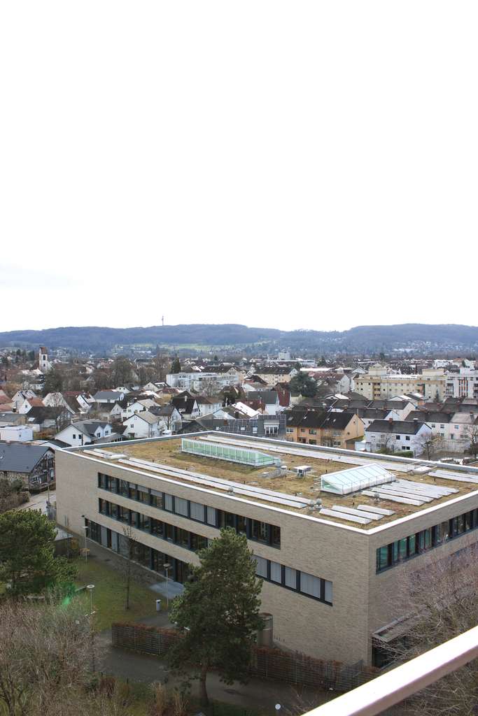 Immobilie in Weil am Rhein - Großzügige 3 Zimmer Wohnung mit wunderschöner Aussicht! - Bild 3