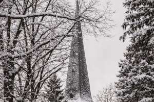 Property thumbnail 22