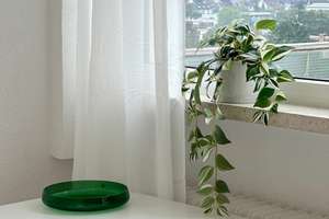 Property thumbnail 7