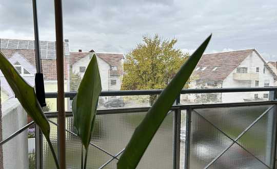 Helle 2-ZKB-Wohnung mit großer Loggia und TG-Stellplatz in sehr guter Lage von Mannheim-Seckenheim