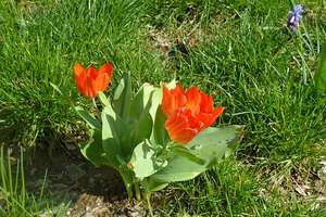 Citynah! Schicke 2Raumwohnung! Balkon! Kleine EBK! In Parknähe!