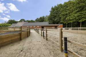 !!Reserviert!!
!! Absolutes Traumobjekt !!
Komplett sanierter Resthof mit über 8000m² Fläche – Emsland (Kreis) – Vorschaubild 43