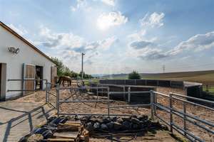 Helles Einfamilienhaus mit moderner Reitanlage – Die vollständige Adresse der Immobilie erhältst du vom Anbieter., 56295 Lonnig – Vorschaubild 13