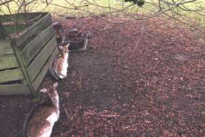 Property thumbnail 25