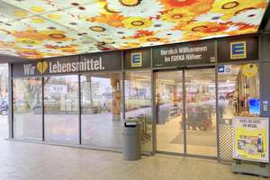 KERNSANIERTE EINZIMMERWOHNUNG MIT HOCHWERTIGEM BAD & KÜCHE IN BOGENHAUSEN – Fritz-Meyer-Weg 55, 81925 Oberföhring, München – Vorschaubild 14