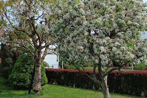 Property thumbnail 46