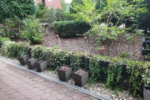 2,5 Raum, Wald-Ruhrnähe, Terrasse 14 m², Bad: Wanne + sep. Dusche, Echtholzparkettböden – Am Homberg 9, 45529 Hattingen – Vorschaubild 5