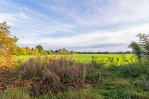 Property thumbnail 21