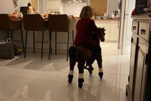 Traumhaus in Lotte Wersen zu vermieten – Die vollständige Adresse der Immobilie erhältst du vom Anbieter., 49080 Wüste, Osnabrück – Vorschaubild 14
