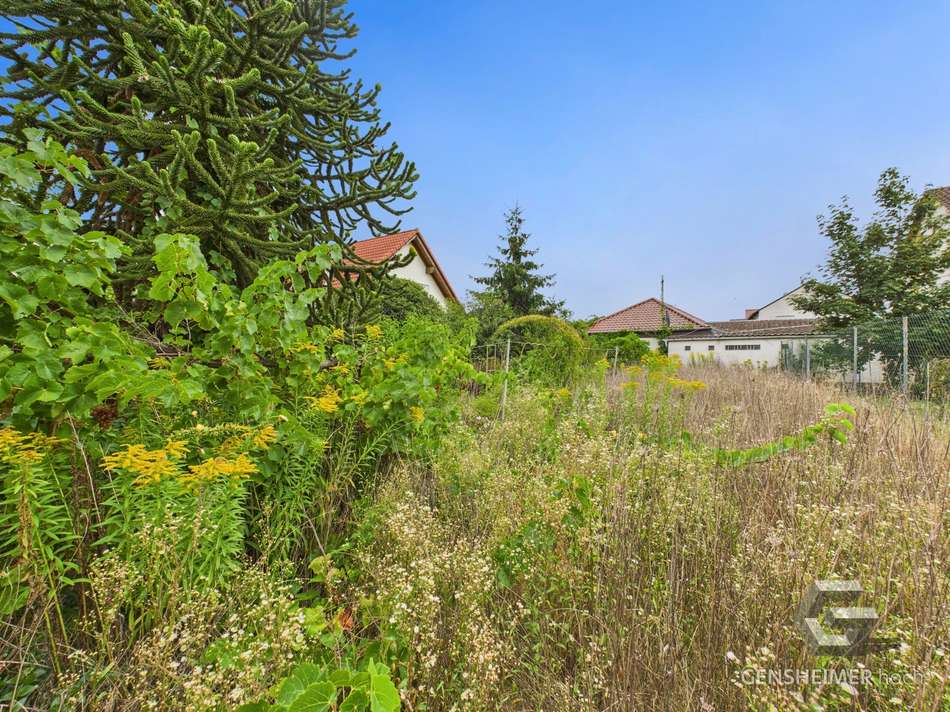 Garten mit Bauplatz