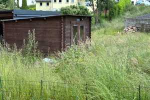 Einfamilienhaus zur Miete in ruhiger Wohnlage mit großem Garten – Cochem-Zell (Kreis) – Vorschaubild 6