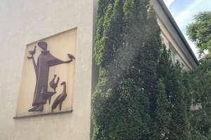 3 Zimmer – 60er Jahre Altbaufeeling im Herzen von Darmstadt – mit Balkon und Garage – Zimmerstraße 11, 64283 Mitte, Darmstadt – Vorschaubild 23