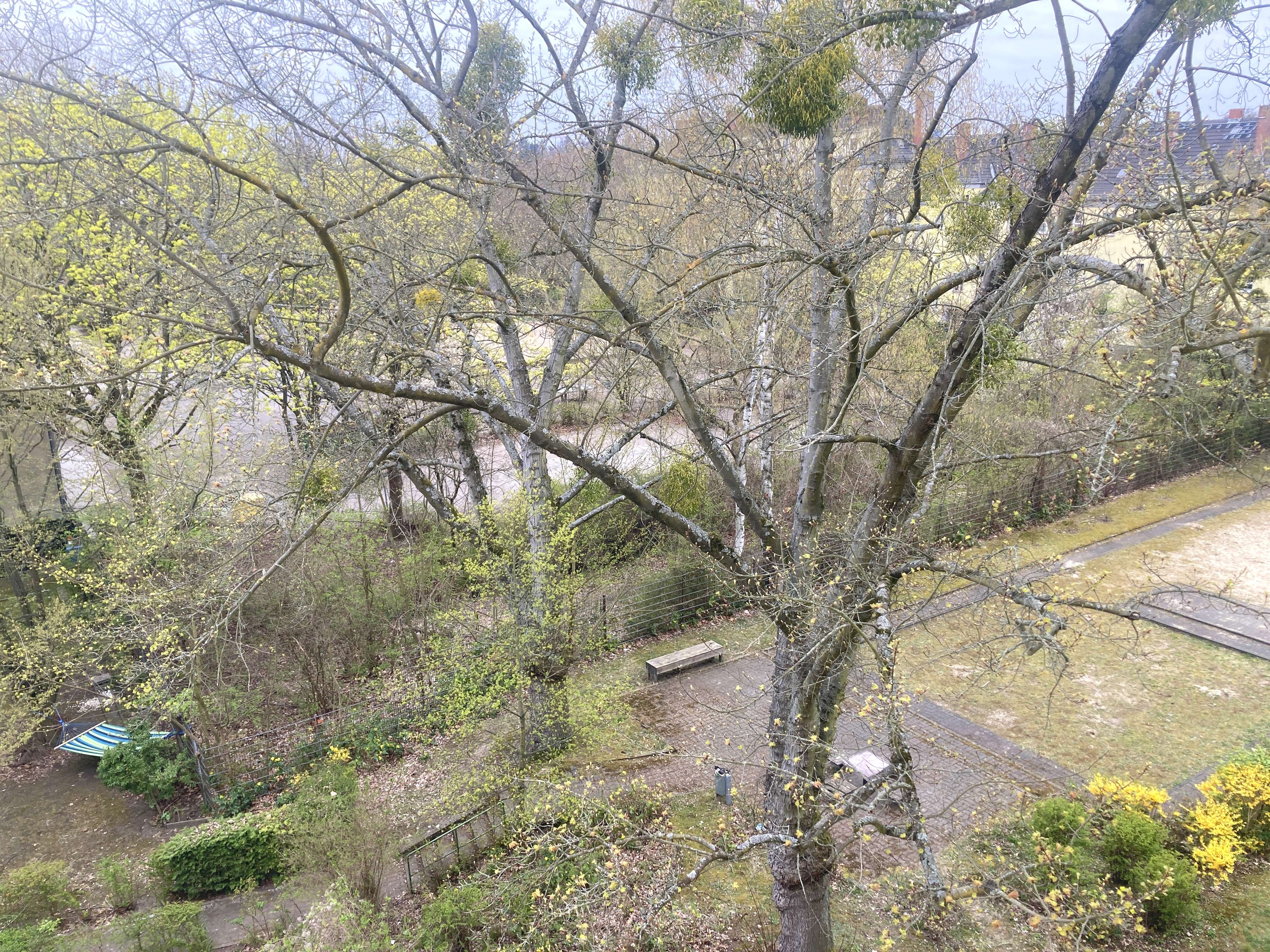 Handwerkerobjekt, bezugsfrei, Tempelhof, 70 qm, Balkon, Berlin – Bild 4