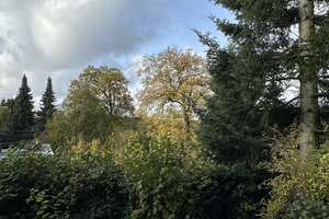  Ein Einfamilienhaus mit besonderem Charme, eingebettet in einen herrlich eingewachsenem Garten – Brockenberg 6, 45549 Sprockhövel – Vorschaubild 26
