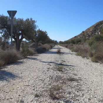 Rustikales Anwesen zum Verkauf in Campos del Río.