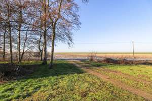 Renovierungsbedürftiges Bauernhaus mit Nordsee-Blick in Holzständerbauweise - 6WE möglich – Die vollständige Adresse der Immobilie erhältst du vom Anbieter., 25813 Simonsberg – Vorschaubild 5