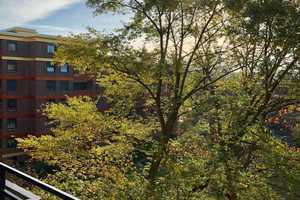 Frisch renovierte Wohnung am Rombergpark – Am Bahnhof Tierpark 34, 44225 Dortmund – Vorschaubild 1