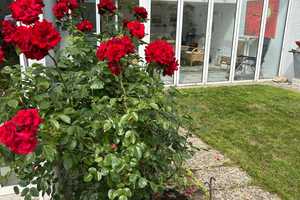 Einfamilienhaus in Flein auf 344 m² Grundstück mit Wintergarten, 2 Stellplätzen, Garage und Garten – Heilbronn (Kreis) – Vorschaubild 17